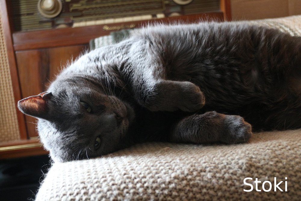 Ten Feet Tall and Bulletproof